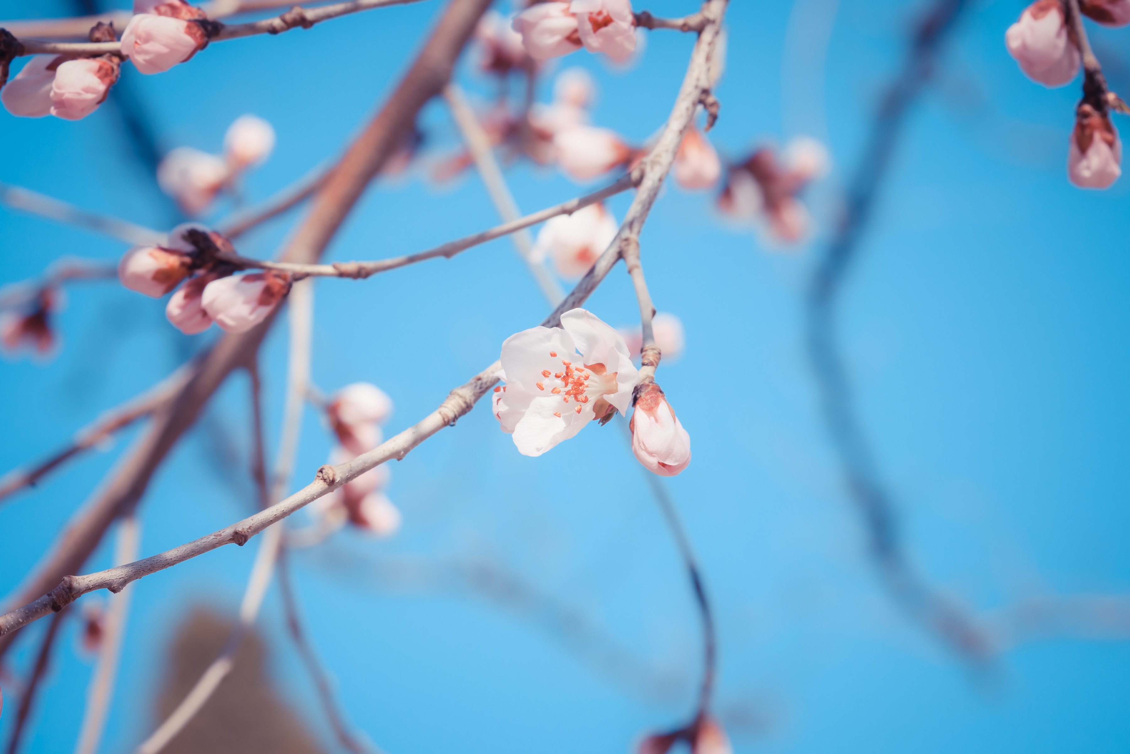 火狐电竞 - 点燃电竞激情,竞出非凡杰出!